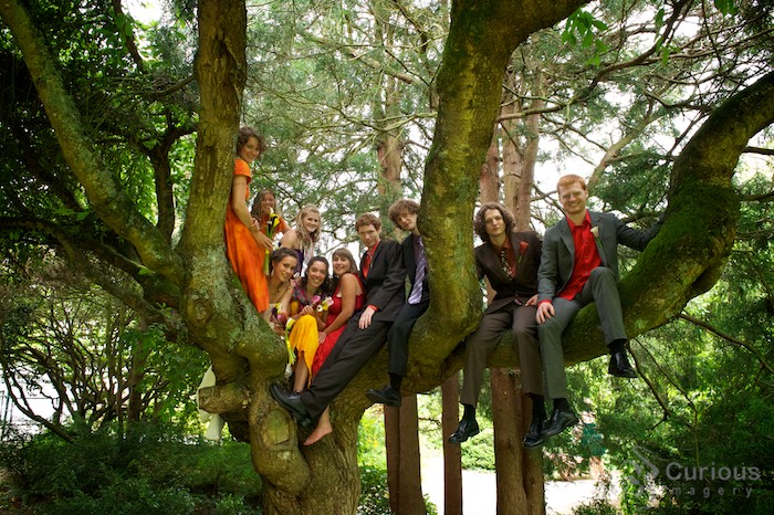 entire wedding party in a tree! awesome.