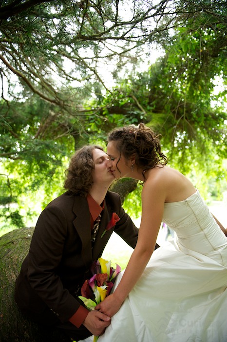 bride and groom kiss in tree