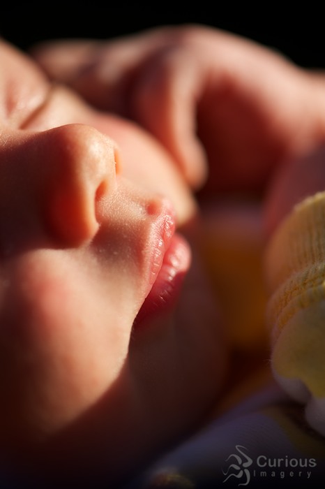 close up photo with peaceful newborn baby sleeping in sunlight