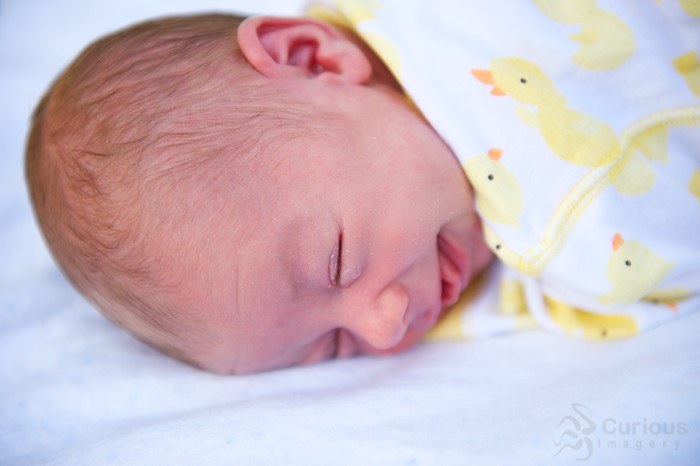 Peregrine Nelson – Bellingham Newborn Photography